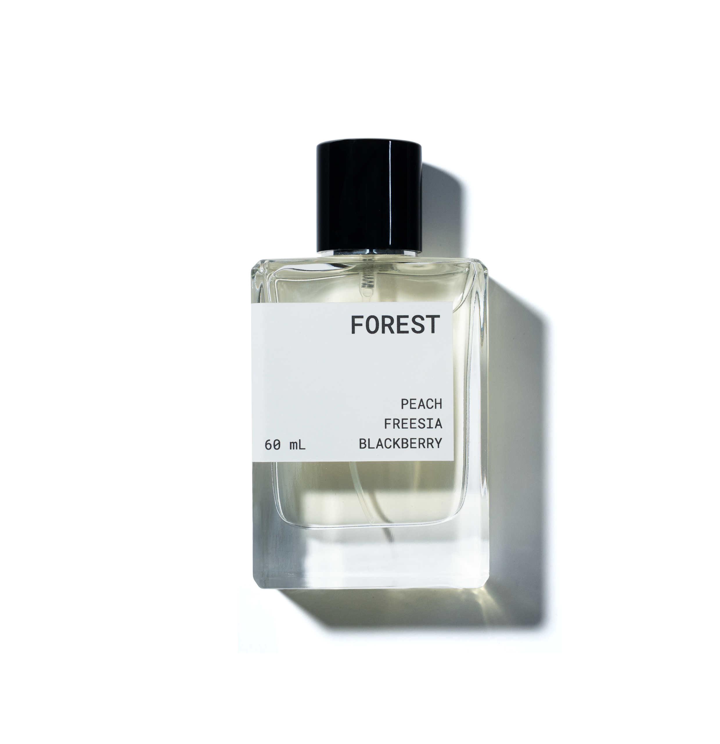 Forest – Senna